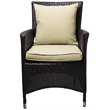 Pemberly Row  Patio Dining Chair in Espresso and White (Set of 2)