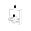 Pemberly Row 2 Drawer Engineered Wood Shoe Cabinet in Black Matte