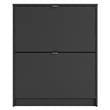 Pemberly Row 2 Drawer Engineered Wood Shoe Cabinet in Black Matte