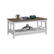 Pemberly Row Coffee Table in White and Driftwood Brown Wood Finish