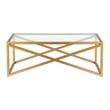 Pemberly Row Brass and Gold Rectangular Coffee Table with Glass Top