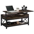 Pemberly Row Wood and Metal Lift-Top Coffee Table in Carbon Oak/Black