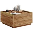Pemberly Row  Engineered Wood Coffee Table in Sindoori Mango