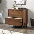 Pemberly Row 2Drawers Vertical Walnut Wood Filing Cabinet Easy Assembly