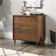 Pemberly Row 2Drawers Vertical Walnut Wood Filing Cabinet Easy Assembly