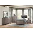 Pemberly Row 2-Drawers Contemporary Wood Nightstand in Gray
