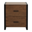 Pemberly Row Metal File Cabinet in Walnut and Black