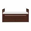 Pemberly Row 2-Drawers Wood Twin over Twin Trundle Bed in Dark Cherry