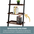 Pemberly Row Bookshelf Ladder in Dark Walnut Wood Finish