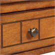 Pemberly Row One-Drawer Traditional Wood Accent End Table in Walnut