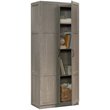 Pemberly Row 2-Door Modern Engineered Wood Storage Cabinet in Gray