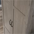 Pemberly Row 2-Door Modern Engineered Wood Storage Cabinet in Gray