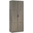 Pemberly Row 2-Door Modern Engineered Wood Storage Cabinet in Gray