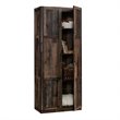 Pemberly Row 2-Door Engineered Wood Storage Cabinet in Reclaimed Pine/Brown