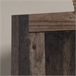 Pemberly Row 2-Door Engineered Wood Storage Cabinet in Reclaimed Pine/Brown