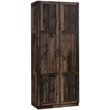 Pemberly Row 2-Door Engineered Wood Storage Cabinet in Reclaimed Pine/Brown