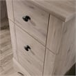 Pemberly Row 2-Drawer Coastal Engineered Wood Computer Desk in Laurel Oak