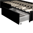 Pemberly Row Twin Upholstered Bed with Storage Drawers in Black Faux Leather