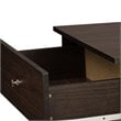 Pemberly Row 2 Door Shoe Cabinet in Dark Brown