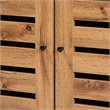 Pemberly Row Wood and Metal 2-Door Shoe Cabinet in Oak Brown and Black