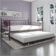 Pemberly Row Victorian Design Modern Metal Daybed and Trundle in Bronze