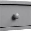 Pemberly Row Contemporary Storage Console Table in Gray Wood Finish
