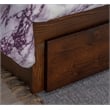 Pemberly Row Contemporary Pine Wood Daybed in Espresso