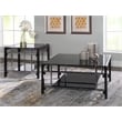 Pemberly Row Transitional Glass and Metal End Table in Black