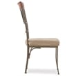 Pemberly Row Transitional Metal Set of Two Dining Side Chairs in Bronze
