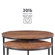Pemberly Row Modern Mango Wood and Metal Nesting Coffee Tables in Black/Brown