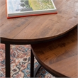 Pemberly Row Modern Mango Wood and Metal Nesting Coffee Tables in Black/Brown