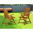 Pemberly Row Wood Patio Dining Chairs in Natural Oil (Set of 2)