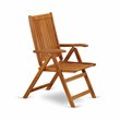 Pemberly Row Wood Patio Dining Chairs in Natural Oil (Set of 2)
