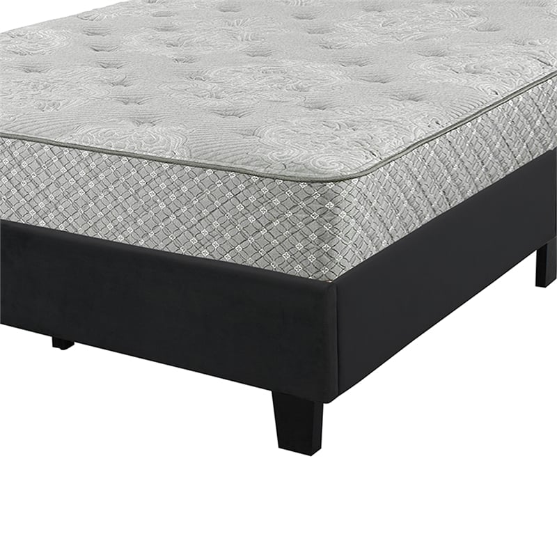 Pemberly Row Modern Velvet Upholstered Queen Platform Bed in Black