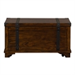 Pemberly Row Rustic Wood Storage Trunk in Brown