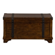 Pemberly Row Rustic Wood Storage Trunk in Brown