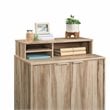 Pemberly Row Engineered Wood Storage Drawer in Kiln Acacia Brown