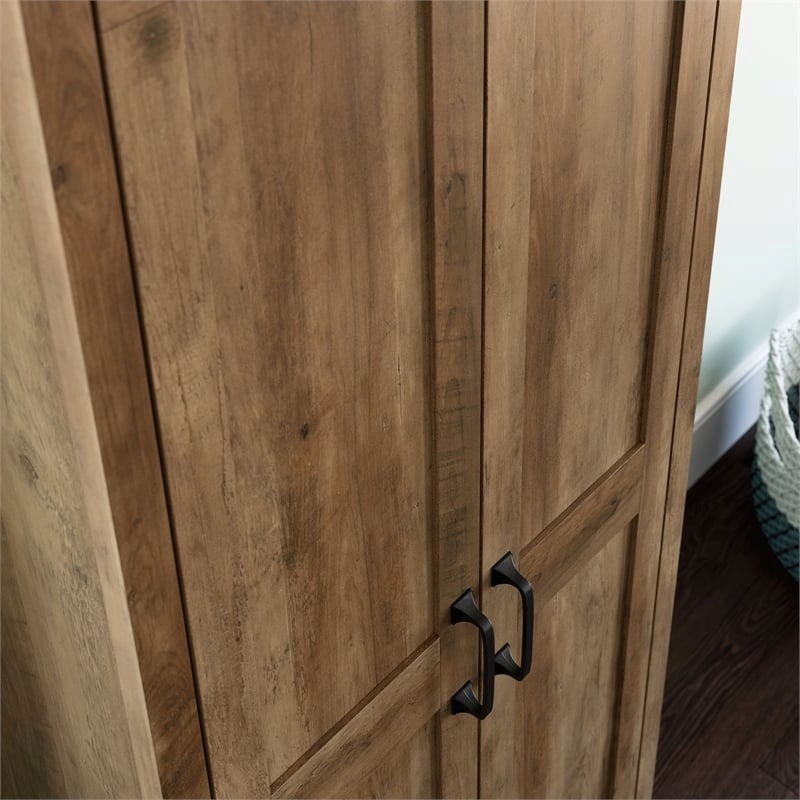 Pemberly Row 2-Door Engineered Wood Storage Cabinet in Rural Pine/Brown