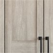 Pemberly Row 2-Door Storage Cabinet in Engineered Wood-Spring Maple