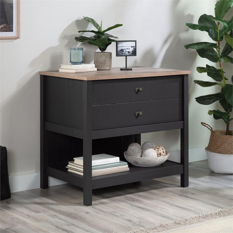 Pemberly Row 1-Drawer Coastal Engineered Wood Lateral File in Raven Oak