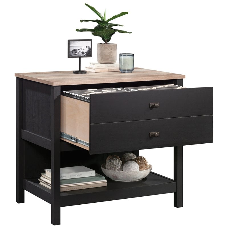 Pemberly Row 1-Drawer Coastal Engineered Wood Lateral File in Raven Oak