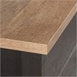 Pemberly Row 1-Drawer Coastal Engineered Wood Lateral File in Raven Oak
