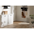 Pemberly Row Contemporary 2-Door Wood Accent Chest in Pure White
