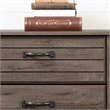 Pemberly Row Traditional 6 Drawer Kids Double Dresser in Fall Oak