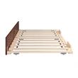 Pemberly Row Modern Solid Wood Twin Size Panel Trundle in Walnut