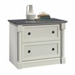 Pemberly Row Engineered Wood Filing Cabinet in Glacier Oak/Rosso Slate Accent