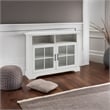 Pemberly Row Glass Door Tall Corner TV Stand for TVs up to 50