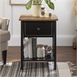 Pemberly Row 2-Door Solid Wood and Rattan Accent Cabinet in Black