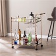 Pemberly Row Glass Mirrored Metal Bar Cart in Champagne Finish