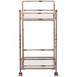 Pemberly Row Glass Mirrored Metal Bar Cart in Champagne Finish